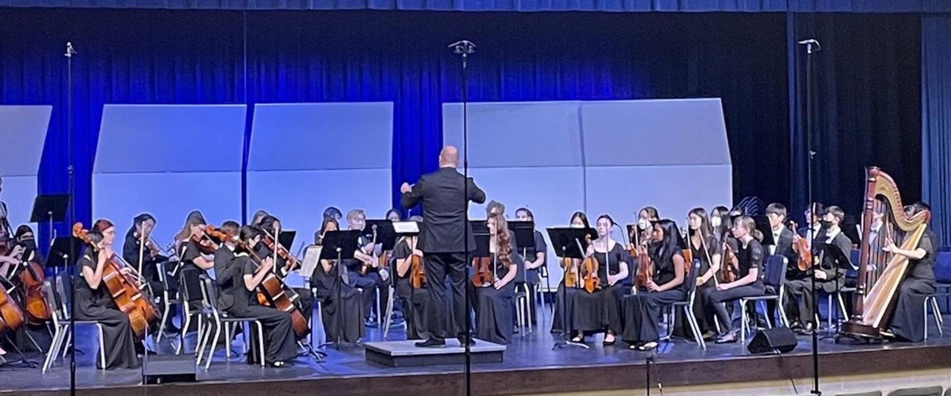 Williamson County Orchestra: Achieving Excellence Through Awards