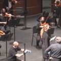 The Williamson County Symphony Orchestra: Music to Delight the Ears and Beyond