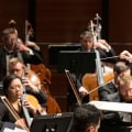Discover Recordings of Lectures by Orchestra Members in Williamson County, Texas